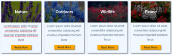 4 columns information